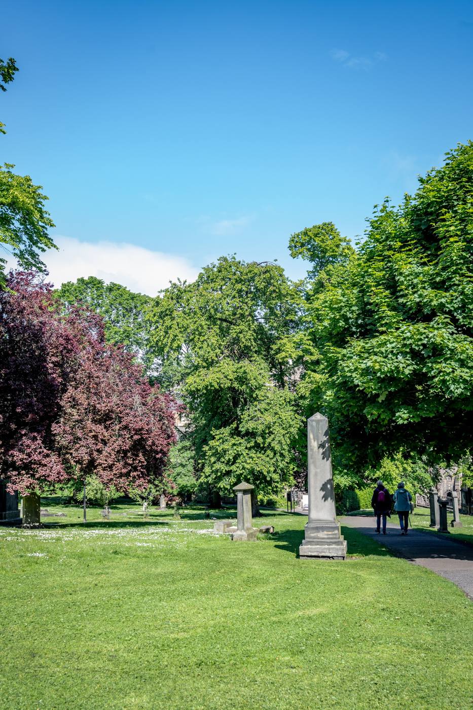 Edinburgh Tour Guys walking tour photo 13